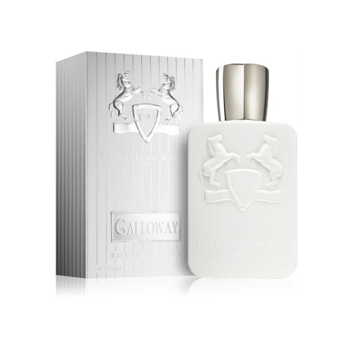 عطر ادکلن مردانه گالووی 125 میل، مَسترکوالیتی سفارش اروپا بشرط استعلام بارکد جعبه، GALLOWAY