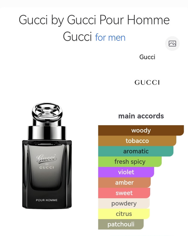 عطر ادکلن مردانه گوچی بای گوچی حجم 100 میل ، مَسترکوالیتی سفارش اروپا بشرط استعلام بارکد، GUCCI BY GUCCI