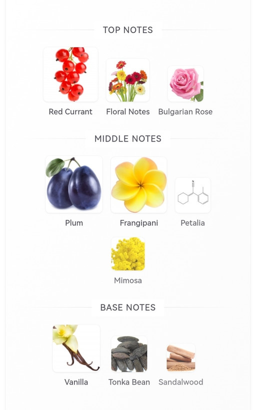 عطر ادکلن زنانه کاسیلی / کسیلی 75 میل، مَستر کوالیتی سفارش اروپا بشرط استعلام بارکد، cassili