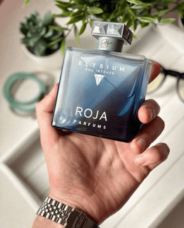 عطر ادکلن مردانه الیسیوم / الیزیوم او اینتنس 100 میل، مَستر کوالیتی سفارش اروپا بار کد درست، elysium eau intense
